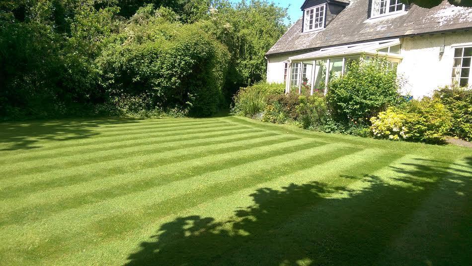 Orchard Pond Bed & Breakfast Duxford Exteriör bild